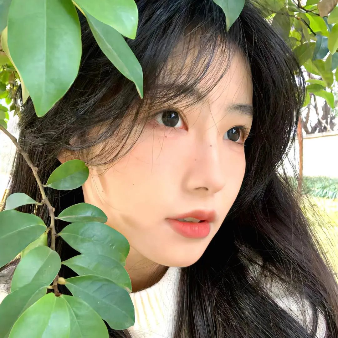 乐游原