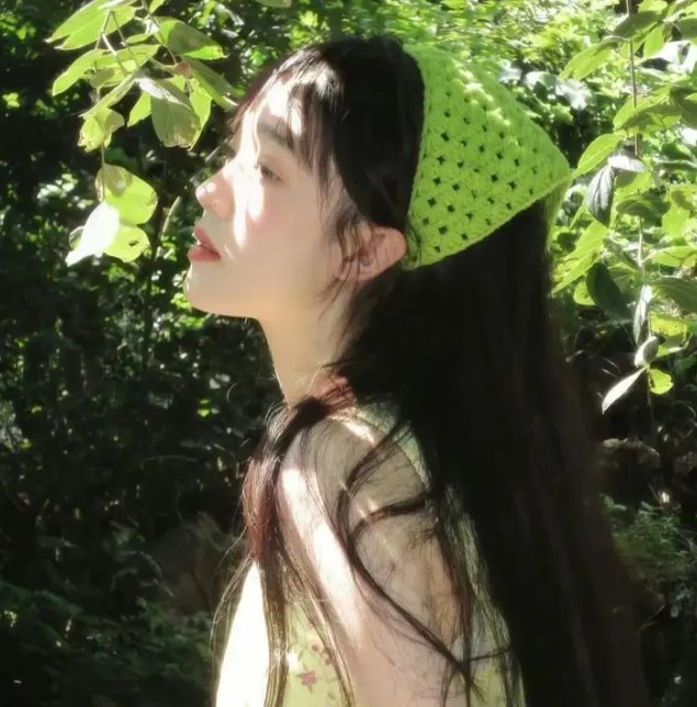 齐姆与友